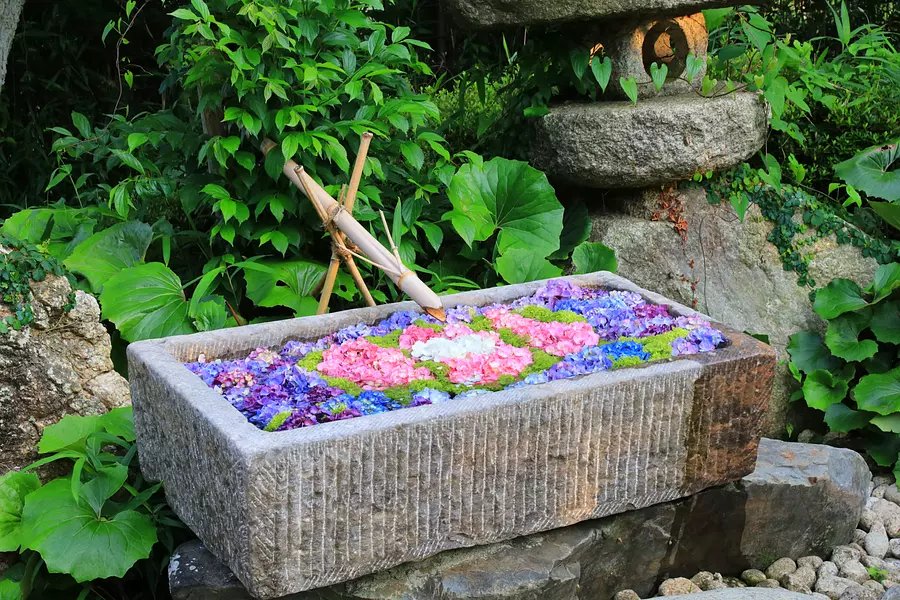 ⛩️ 다나시 신사(다나시진자) 이미지 5